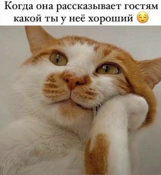 Лучшие картинки с надписями для старта недели Лучшие картинки с надписями для старта недели native-yes