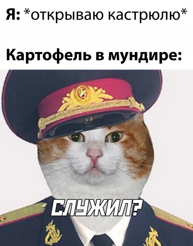 Позитив и приколы в смешных картинках на выходной Позитив и приколы в смешных картинках на выходной native-yes