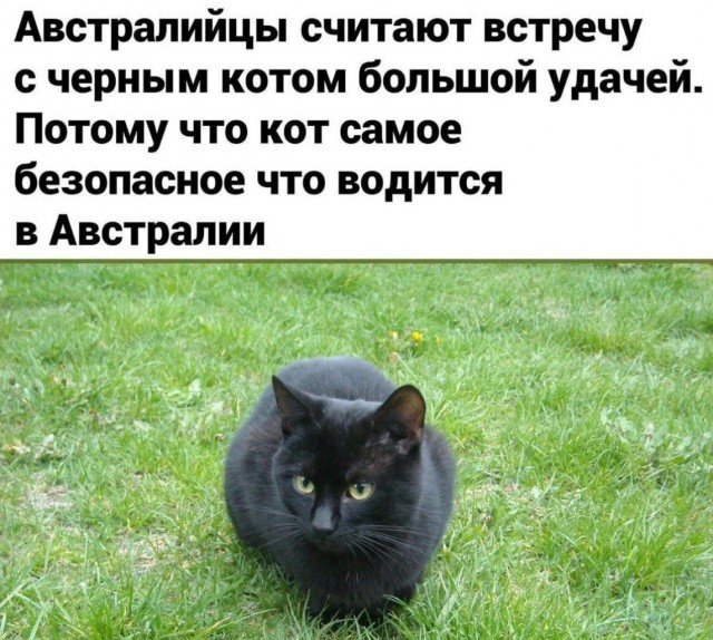 Лучшие шутки на выходной Лучшие шутки на выходной native-yes