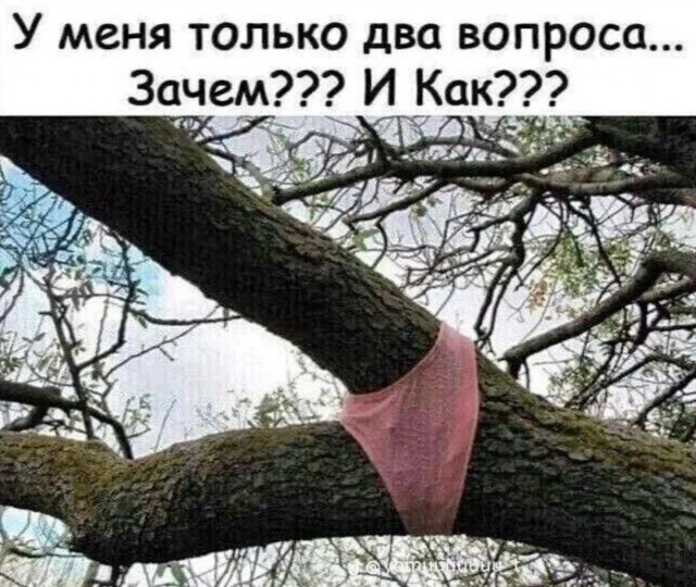 Картинки с надписями, смешные native-yes