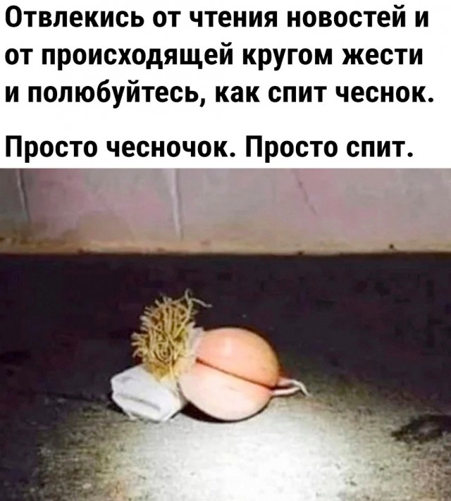 Самые лучшие мемы на выходные Самые лучшие мемы на выходные native-yes