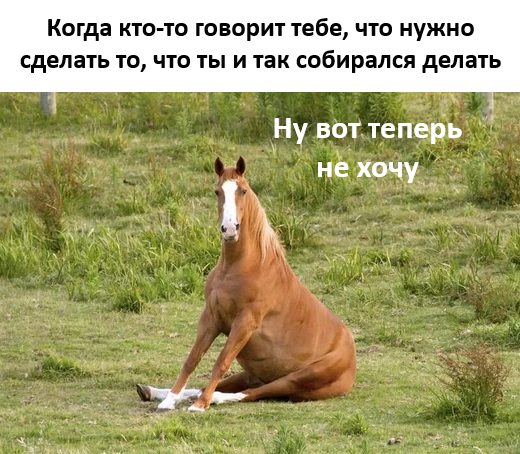 Лучшие шутки в картинках с надписями для старта недели Лучшие шутки в картинках с надписями для старта недели native-yes