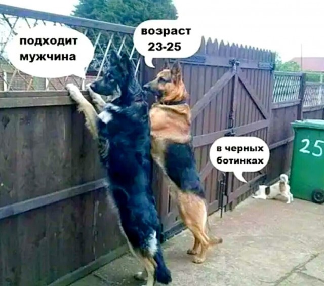 Лучшие шутки для настроения native-yes