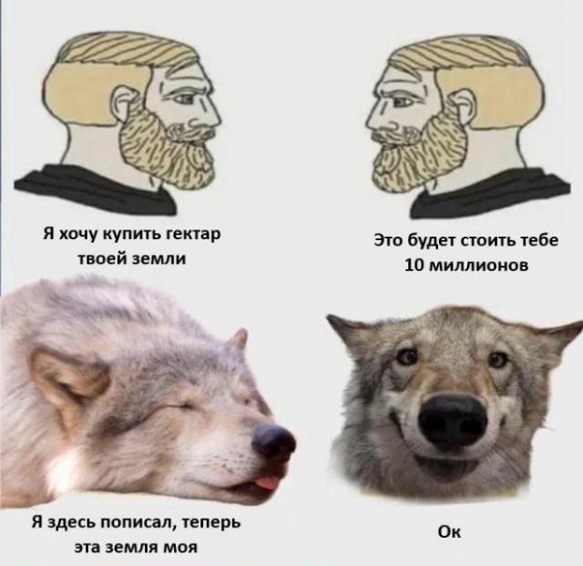 Лучшие шутки в картинках с надписями для старта недели Лучшие шутки в картинках с надписями для старта недели native-yes