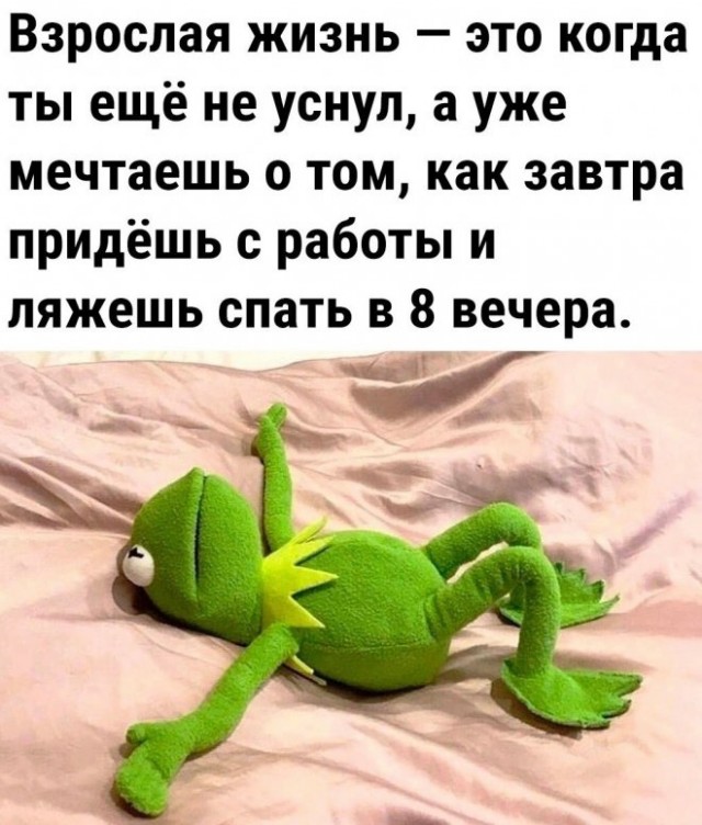 Сборник новых шуток в мемах Сборник новых шуток в мемах native-yes