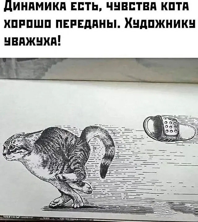 Большая подборка прикольных Мемов и Фото для Настроения Большая подборка прикольных Мемов и Фото для Настроения native-yes