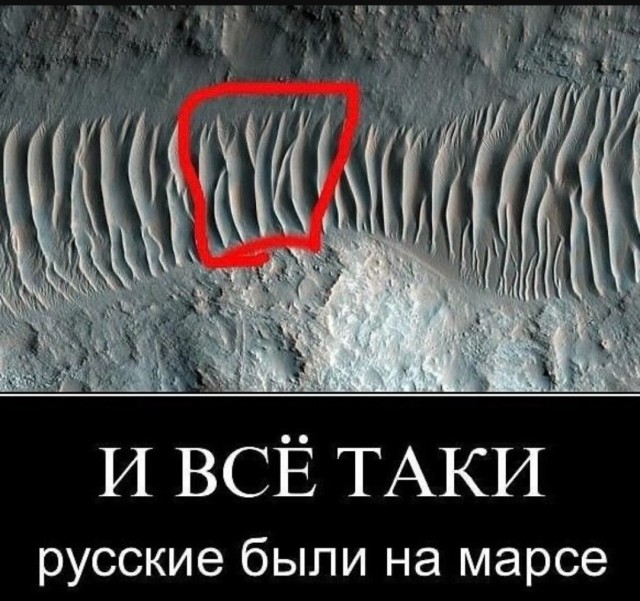 Лучшие приколы для любителей Мемов Лучшие приколы для любителей Мемов native-yes