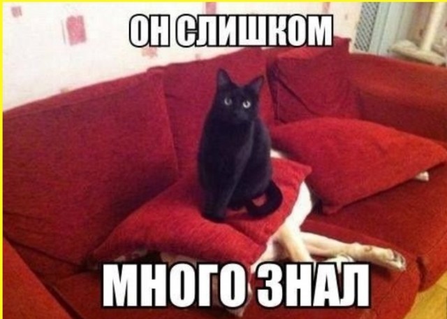 Шутки, юмор и приколы Шутки, юмор и приколы native-yes