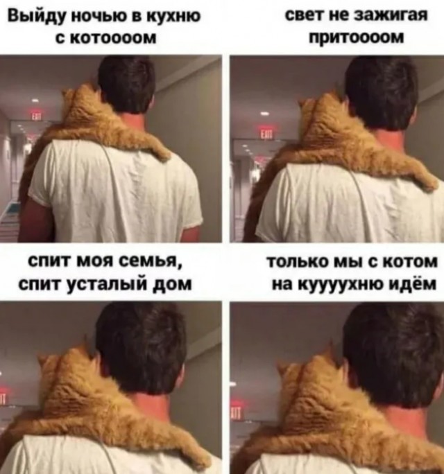 Сборник новых шуток в мемах Сборник новых шуток в мемах native-yes