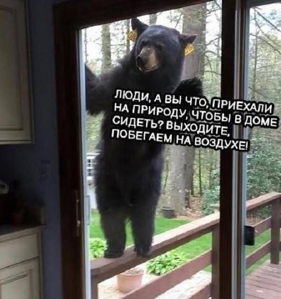 Лучшие картинки с надписями для старта недели Лучшие картинки с надписями для старта недели native-yes