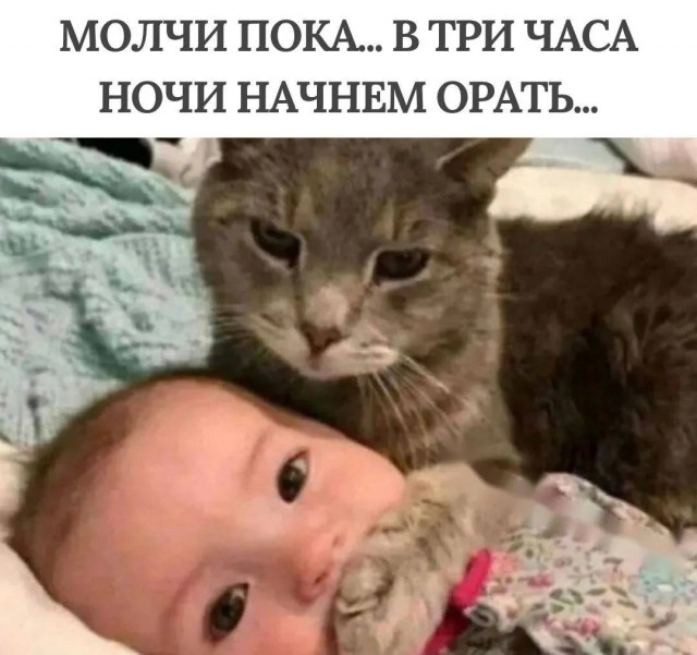 Лучшие шутки на выходной Лучшие шутки на выходной native-yes