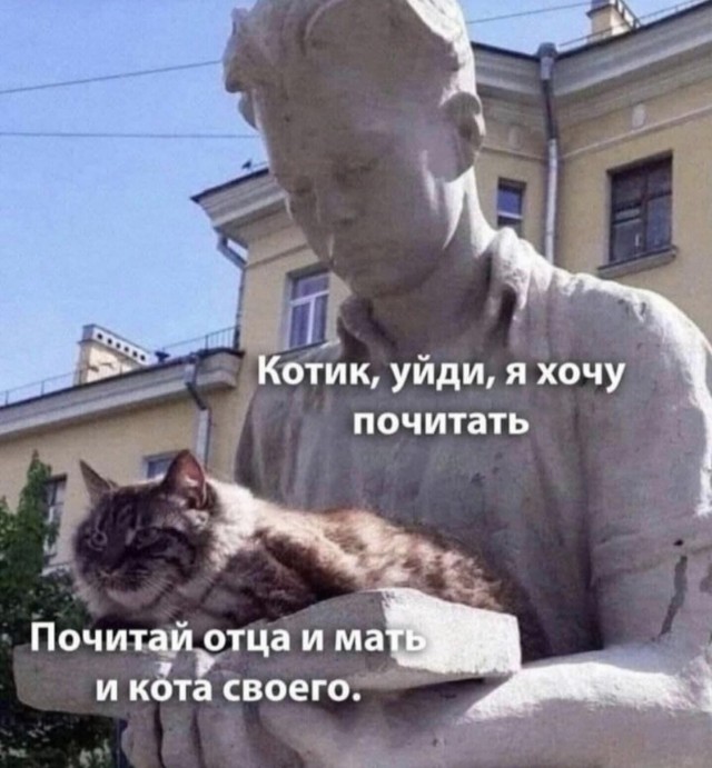 Лучшие шутки в мемах для старта недели native-yes