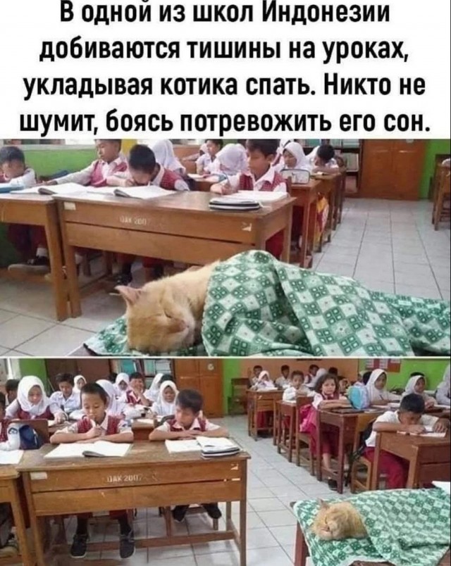 Лучшие шутки в мемах для старта недели native-yes