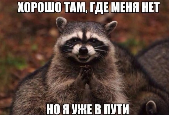 Картинки для настроения в пятницу native-yes