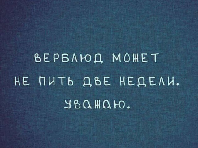 Лучшие шутки в картинках с надписями для старта недели Лучшие шутки в картинках с надписями для старта недели native-yes