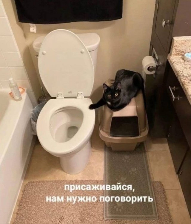 Лучшие шутки на выходной Лучшие шутки на выходной native-yes