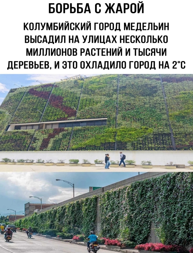 Картинки с надписями, смешные native-yes