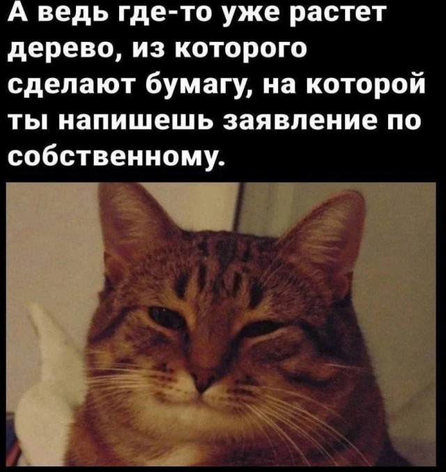 Лучшие шутки в мемах для старта недели native-yes