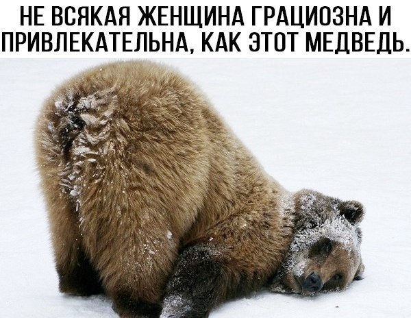 Лучшие шутки в картинках с надписями для старта недели Лучшие шутки в картинках с надписями для старта недели native-yes
