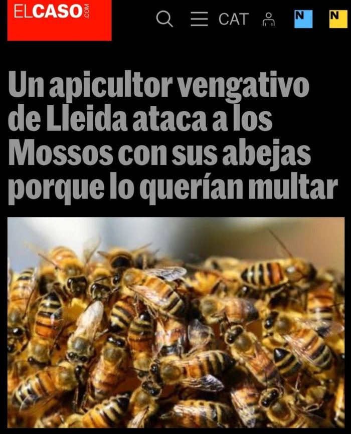 Дедушка натравил на пчел на сотрудников дорожной полиции native-yes