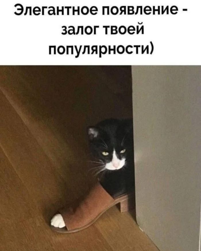 Подборка новых смешных картинок на выходной Подборка новых смешных картинок на выходной native-yes