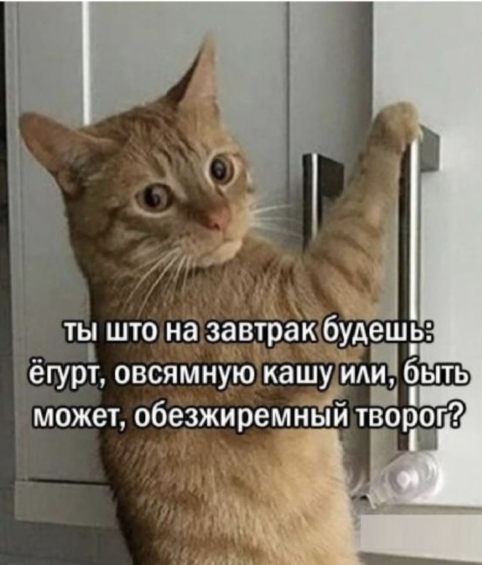 Лучшие мемы на выходные Лучшие мемы на выходные native-yes