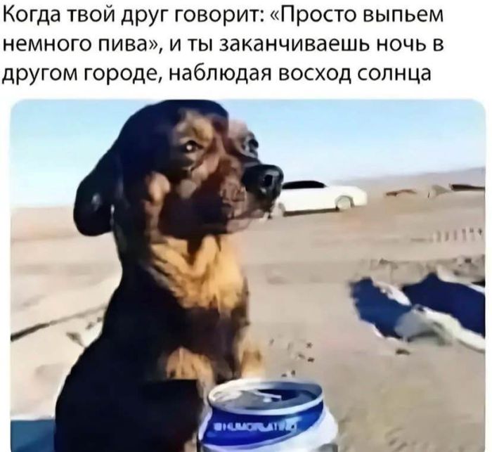 Лучшие мемы которые заставят улыбнуться Лучшие мемы которые заставят улыбнуться native-yes