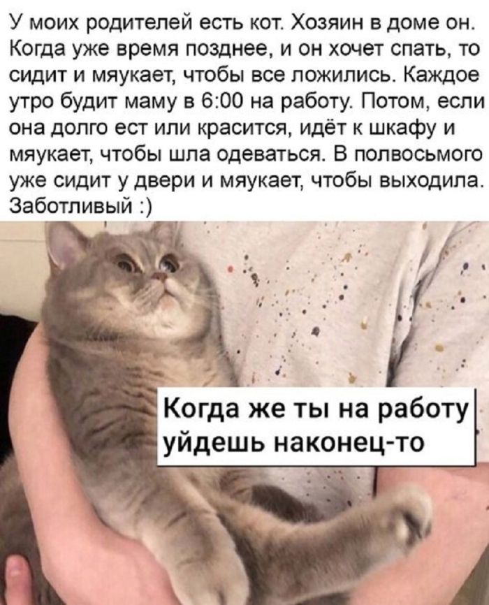 Лучшие мемы на выходные Лучшие мемы на выходные native-yes