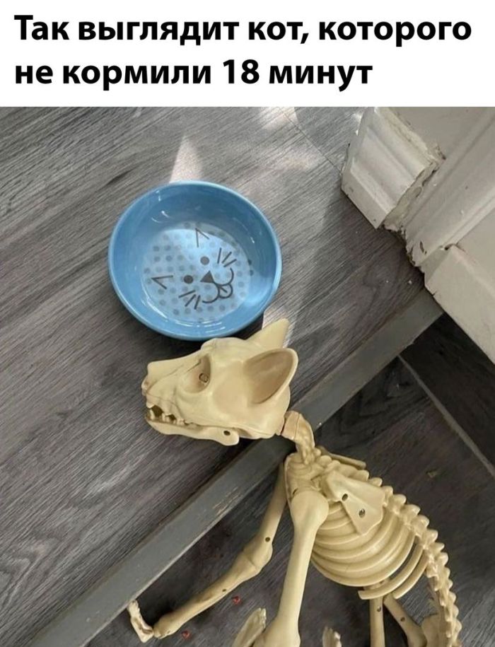 Лучшие мемы которые заставят улыбнуться Лучшие мемы которые заставят улыбнуться native-yes