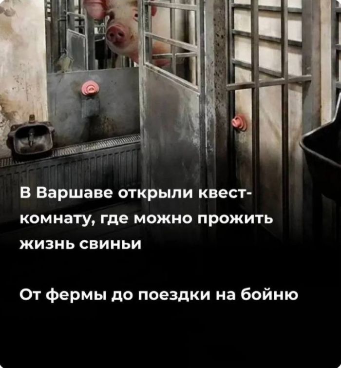 Лучшие мемы на выходные Лучшие мемы на выходные native-yes