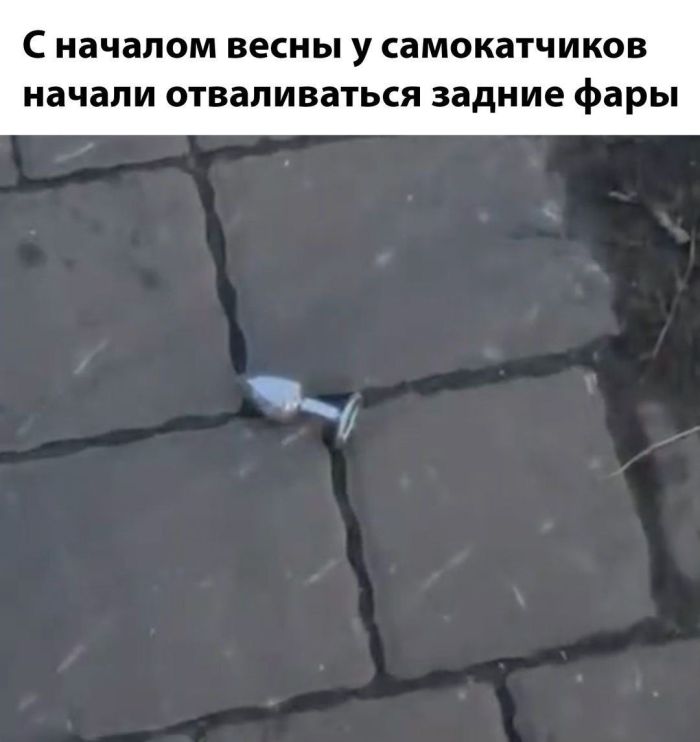 Лучшие позитивные фото приколы и мемы native-yes