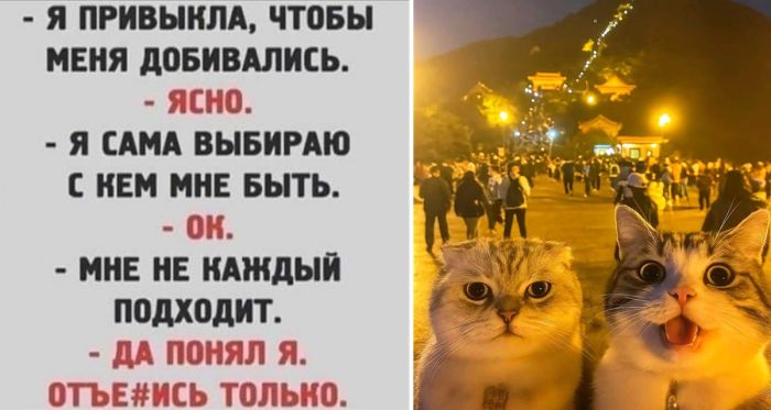 Большая подборка прикольных Мемов и Фото для Настроения