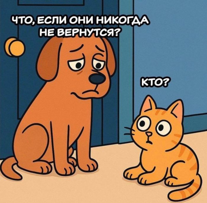 Лучшие шутки в картинках с надписями для старта недели Лучшие шутки в картинках с надписями для старта недели native-yes