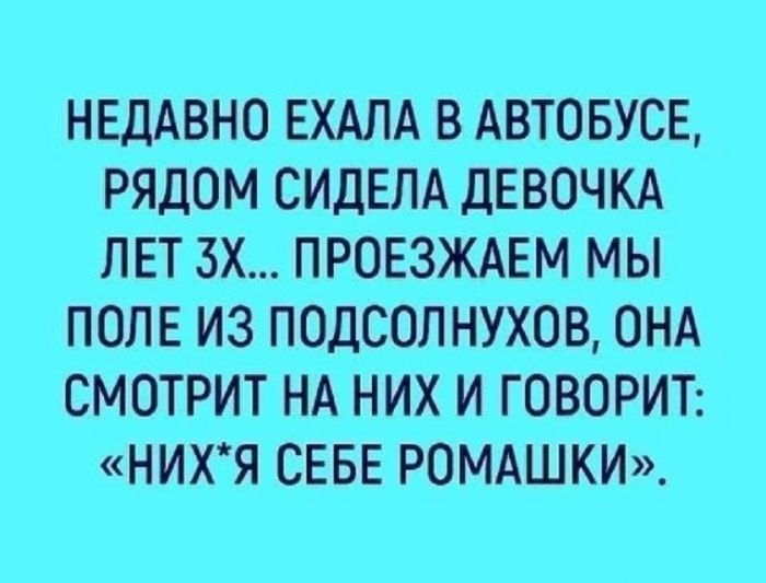 Лучшие мемы на выходные Лучшие мемы на выходные native-yes