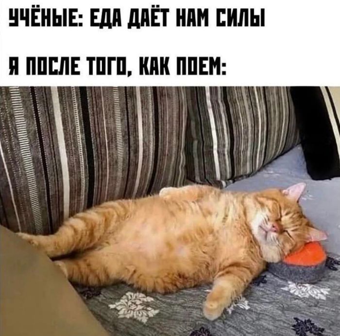 Лучшие позитивные фото приколы и мемы native-yes