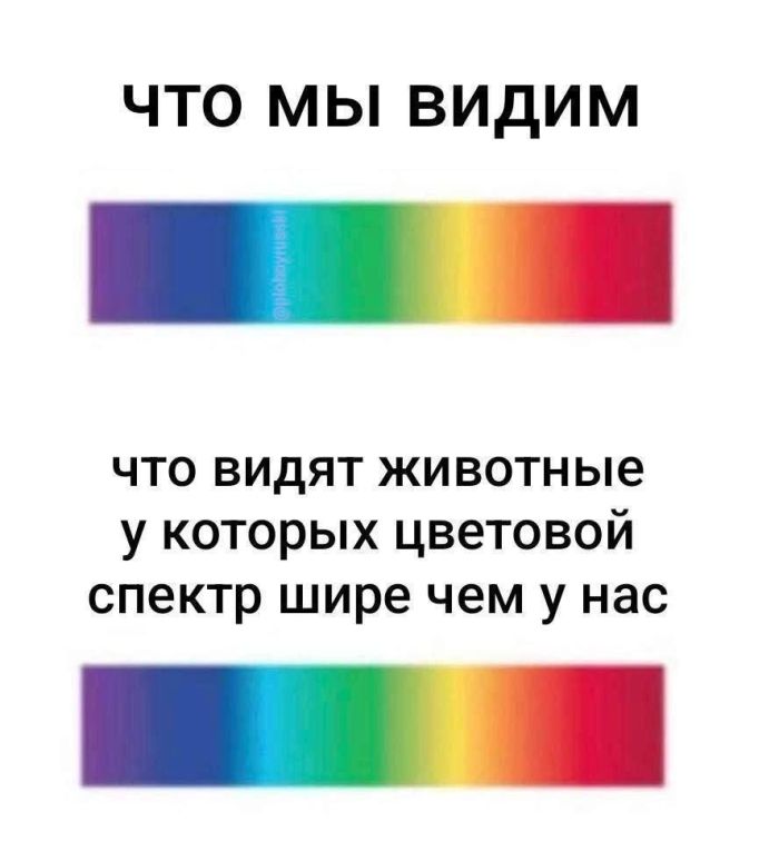 Лучшие шутки в мемах для старта недели native-yes