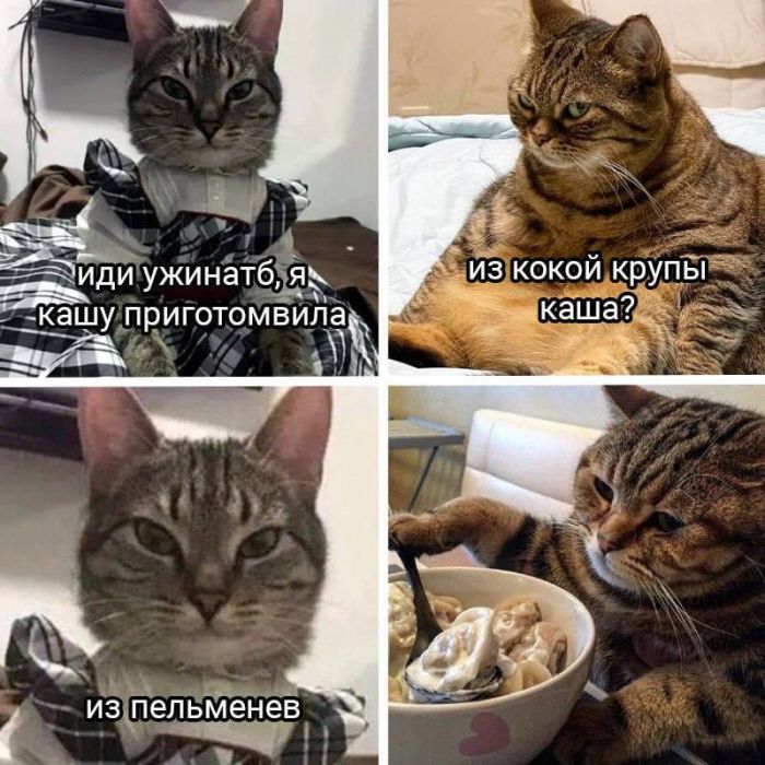 Позитив и приколы в смешных картинках на выходной Позитив и приколы в смешных картинках на выходной native-yes