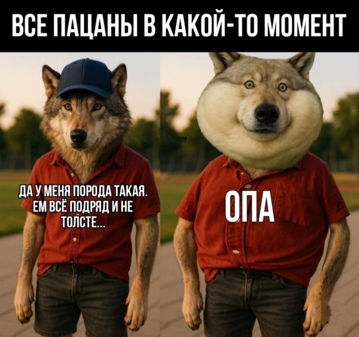 Много шуток в одной подборке перед выходными