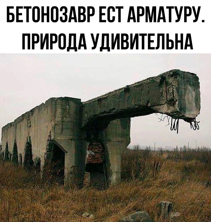 Картинки с надписями, смешные native-yes