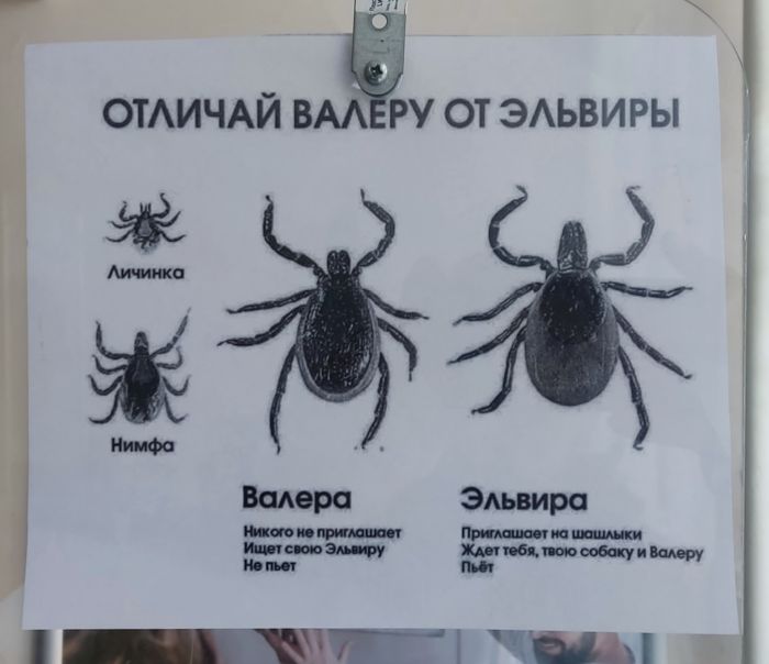 Большая подборка прикольных Мемов и Фото для Настроения Большая подборка прикольных Мемов и Фото для Настроения native-yes