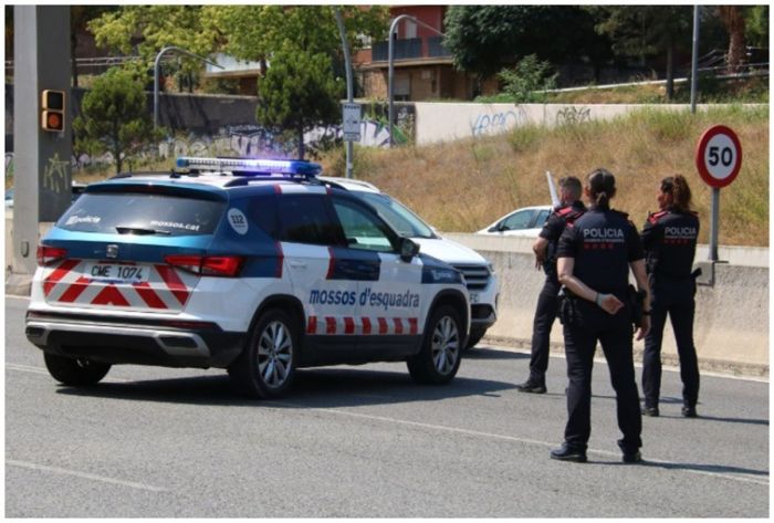 Дедушка натравил на пчел на сотрудников дорожной полиции native-yes