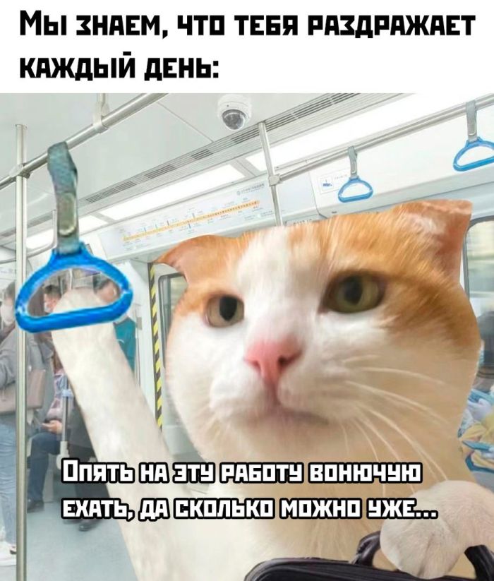Большая подборка прикольных Мемов и Фото для Настроения Большая подборка прикольных Мемов и Фото для Настроения native-yes