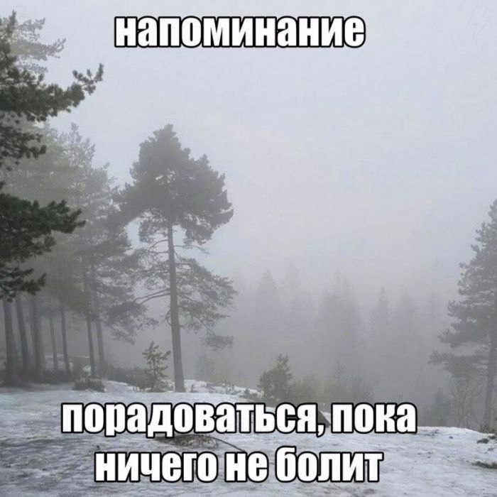 Лучшие мемы которые заставят улыбнуться Лучшие мемы которые заставят улыбнуться native-yes