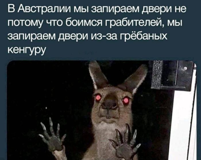 Лучшие шутки в мемах для старта недели native-yes