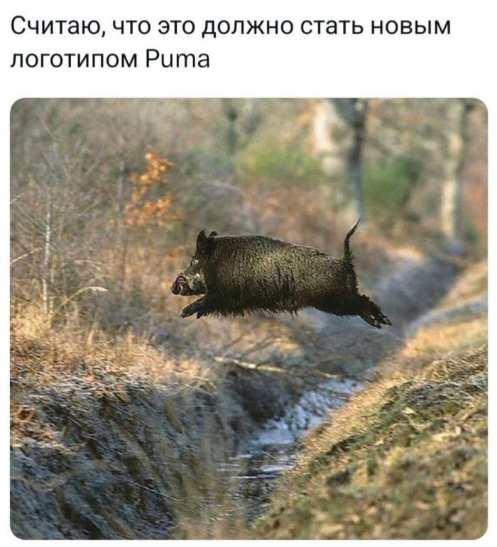 Лучшие мемы на выходные Лучшие мемы на выходные native-yes