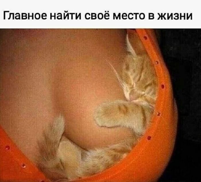 Лучшие шутки на выходные Лучшие шутки на выходные native-yes