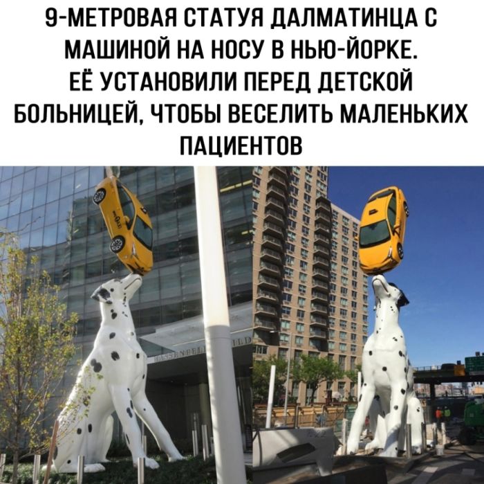 Подборка новых смешных картинок на выходной Подборка новых смешных картинок на выходной native-yes