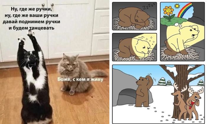 Лучшие позитивные фото приколы и мемы