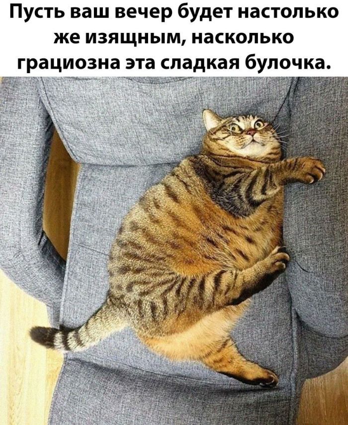 Самые лучшие мемы на выходные Самые лучшие мемы на выходные native-yes
