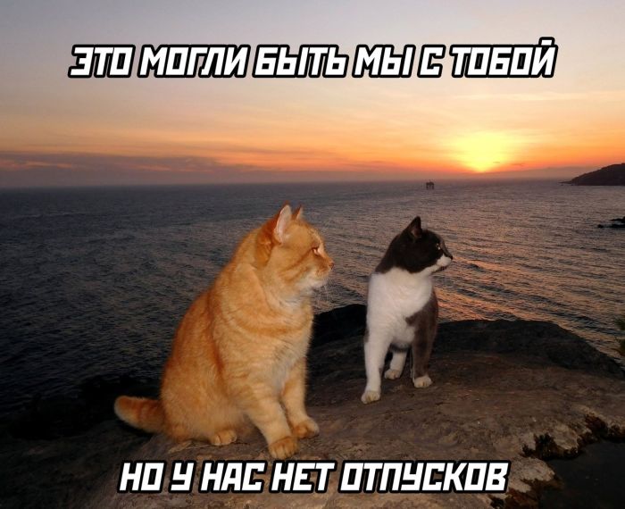 Большая подборка прикольных Мемов и Фото для Настроения Большая подборка прикольных Мемов и Фото для Настроения native-yes